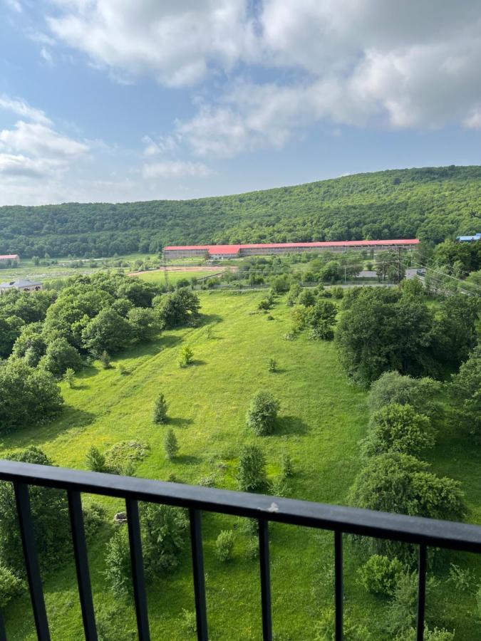 Цахкадзор, Tsaxkadzor, Kechi House Apartment 300 Екстериор снимка
